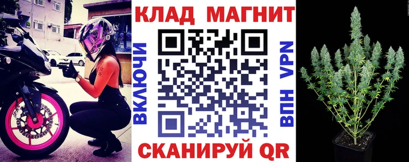 APVP Кыштым