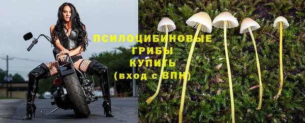 Альфа ПВП Балахна