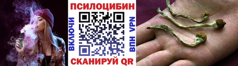купить  сайты  Кыштым  Псилоцибиновые грибы ЛСД 